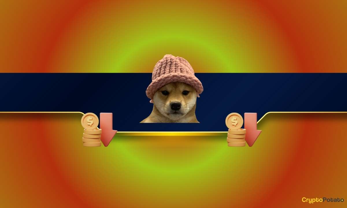 Meme Coin Kan Banyosu: Fiyatlar Mücadele Ederken WIF 3 Ayın En Düşük Seviyesine Düştü