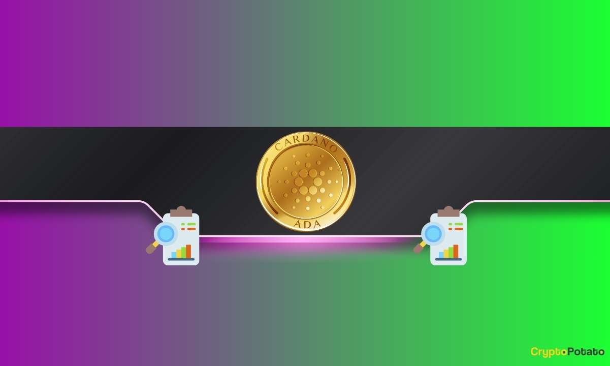 BTC Yerine Cardano Tutmanın Fırsat Maliyeti: ADA Sahipleri Ne Kadar Geride?