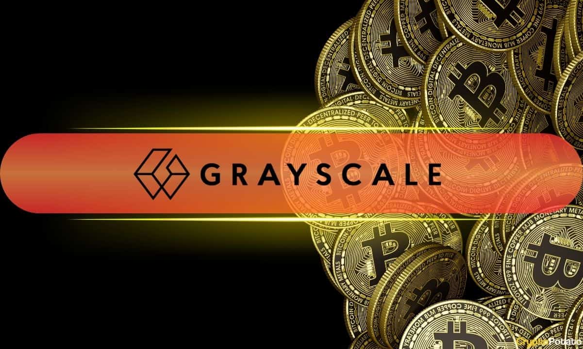 Grayscale'in GBTC'si, BTC'nin 60 Bin Doların Altındaki Fiyat Çöküşünün Ortasında 90 Milyon Dolarla Çıkış Grafiklerinde Zirvede