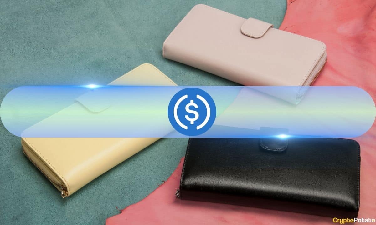 Boğa mı? USDC Stablecoin, Kripto Borsalarına Net Girişlerde Bir Yılın En Yüksek Seviyesine Ulaştı