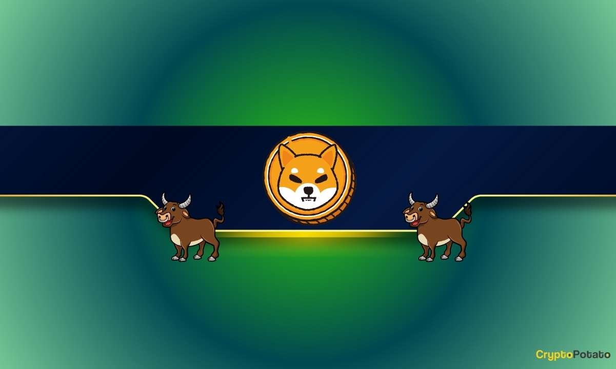 SHIB Fiyatı İyileşmede Patlıyor, Ancak Bu Shiba Inu Metrikleri Düşüyor