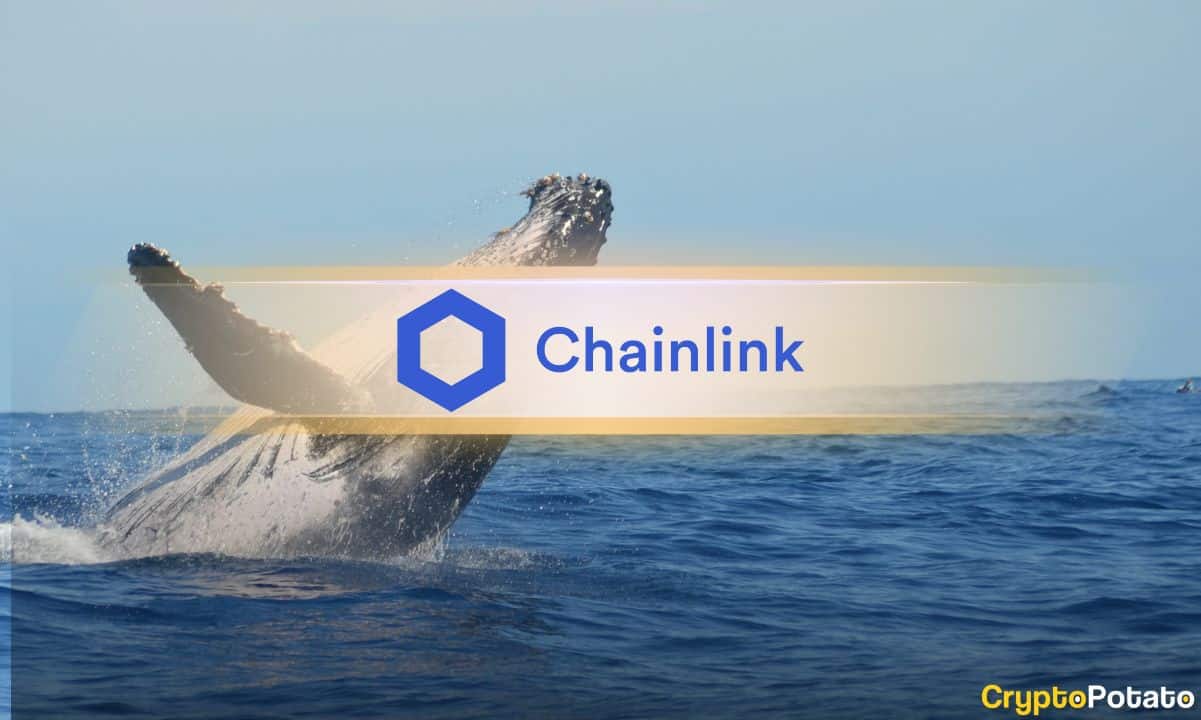 Chainlink (LINK) Fiyat Görünümü: Balinalar Önemli Metriklerin Hızlı İyileşme Sinyalleri Olarak Yükseliyor