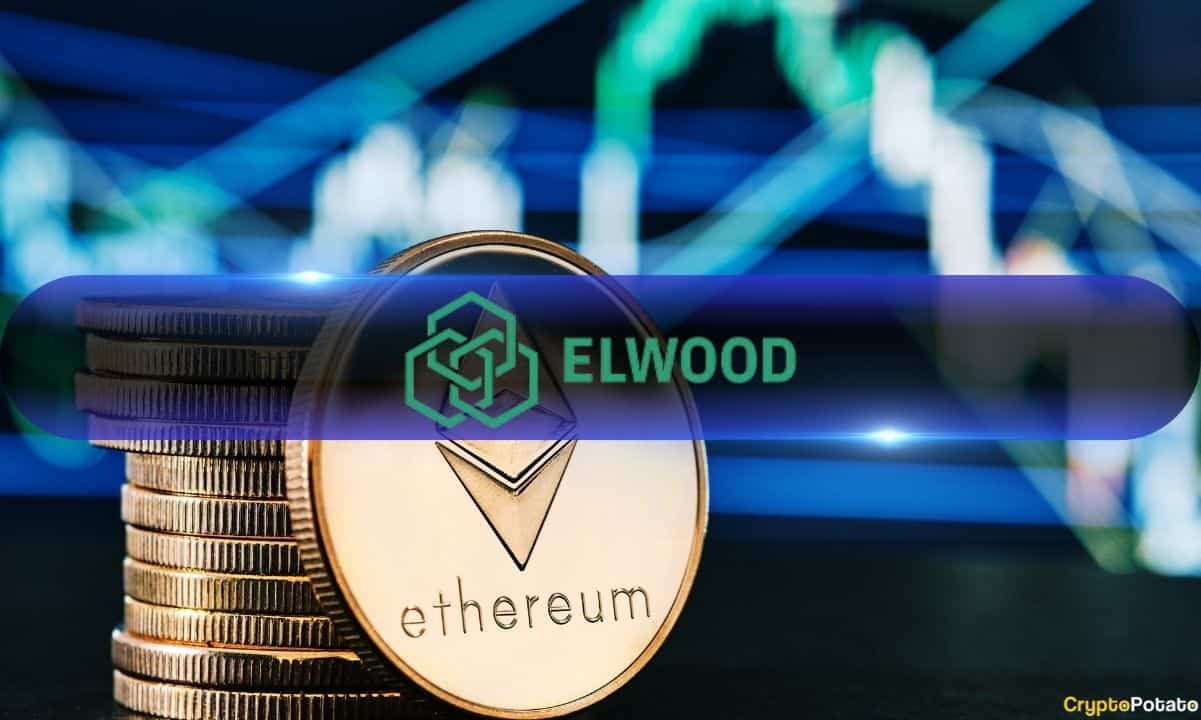 Elwood Technologies'in Büyük ETH Transferleri, Satın Alma Görüşmeleri Arasında Soruları Artırıyor