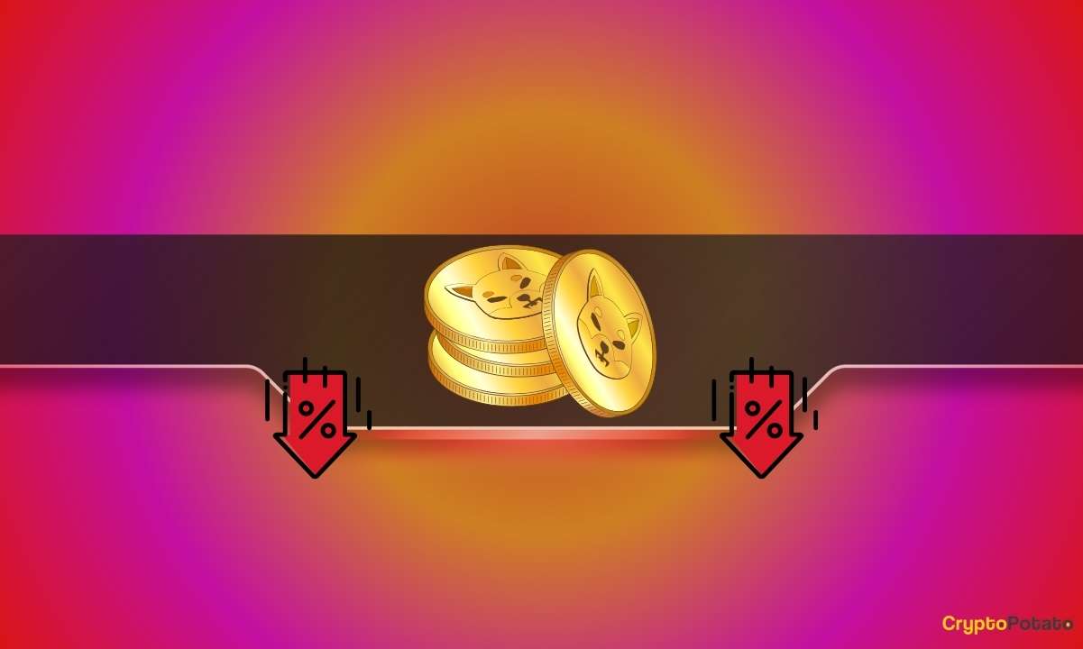 SHIB Fiyatının Güneye Yönlenmesiyle Önemli Shiba Inu Metrikleri Düştü: Ayrıntılar