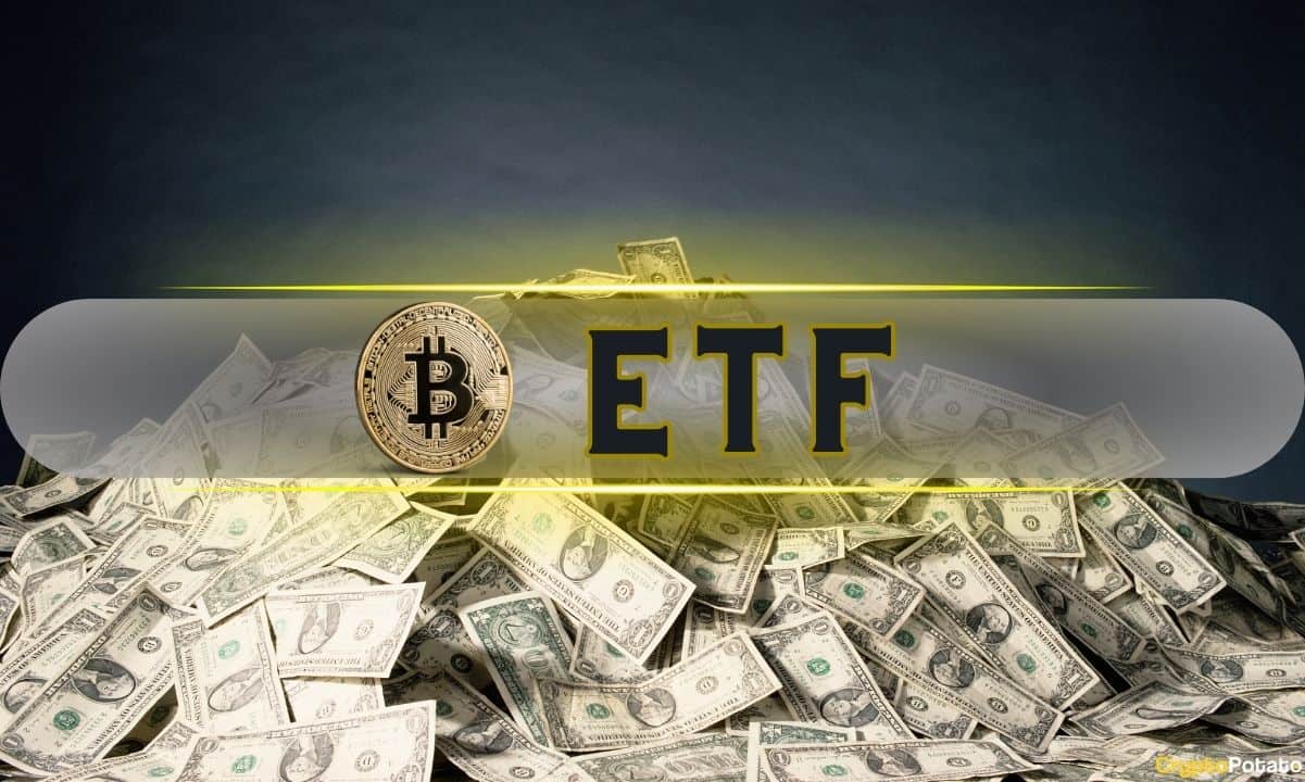 Bitcoin ETF'lerine Günlük 300 Milyon Dolarlık Net Giriş Sağlandı, Çıkış Kaydedilmedi