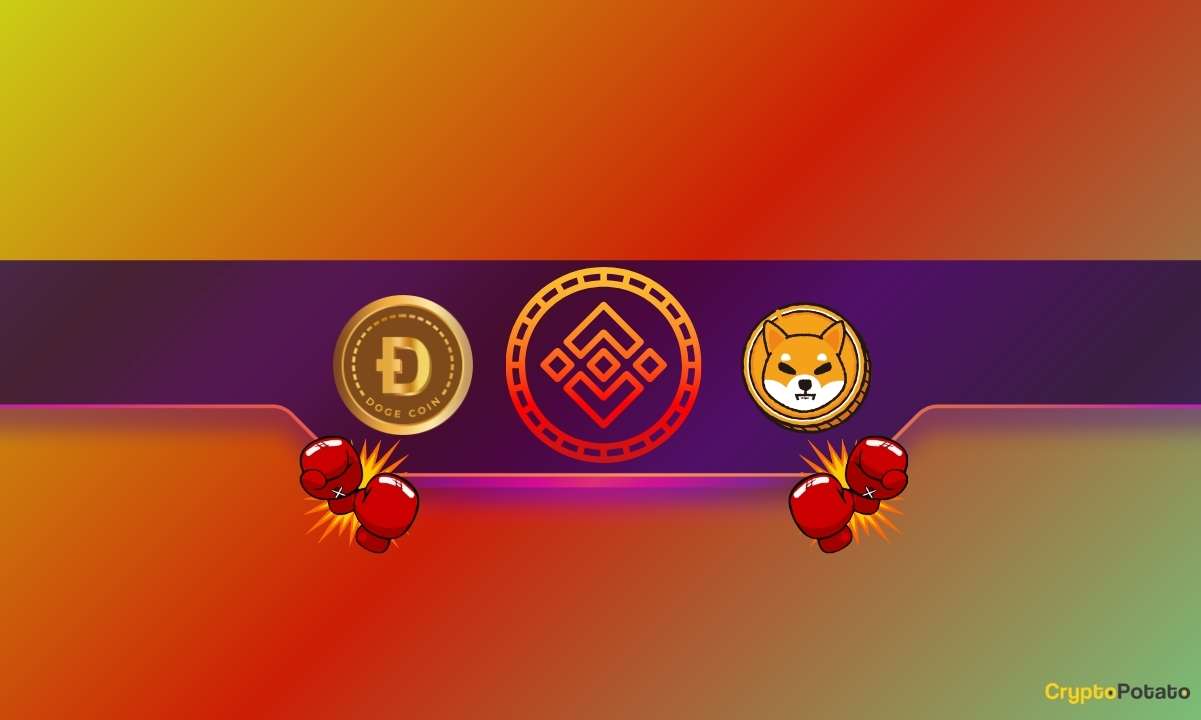 Shiba Inu (SHIB) ve Dogecoin (DOGE) Yatırımcıları için Büyük Binance Duyurusu: Ayrıntılar