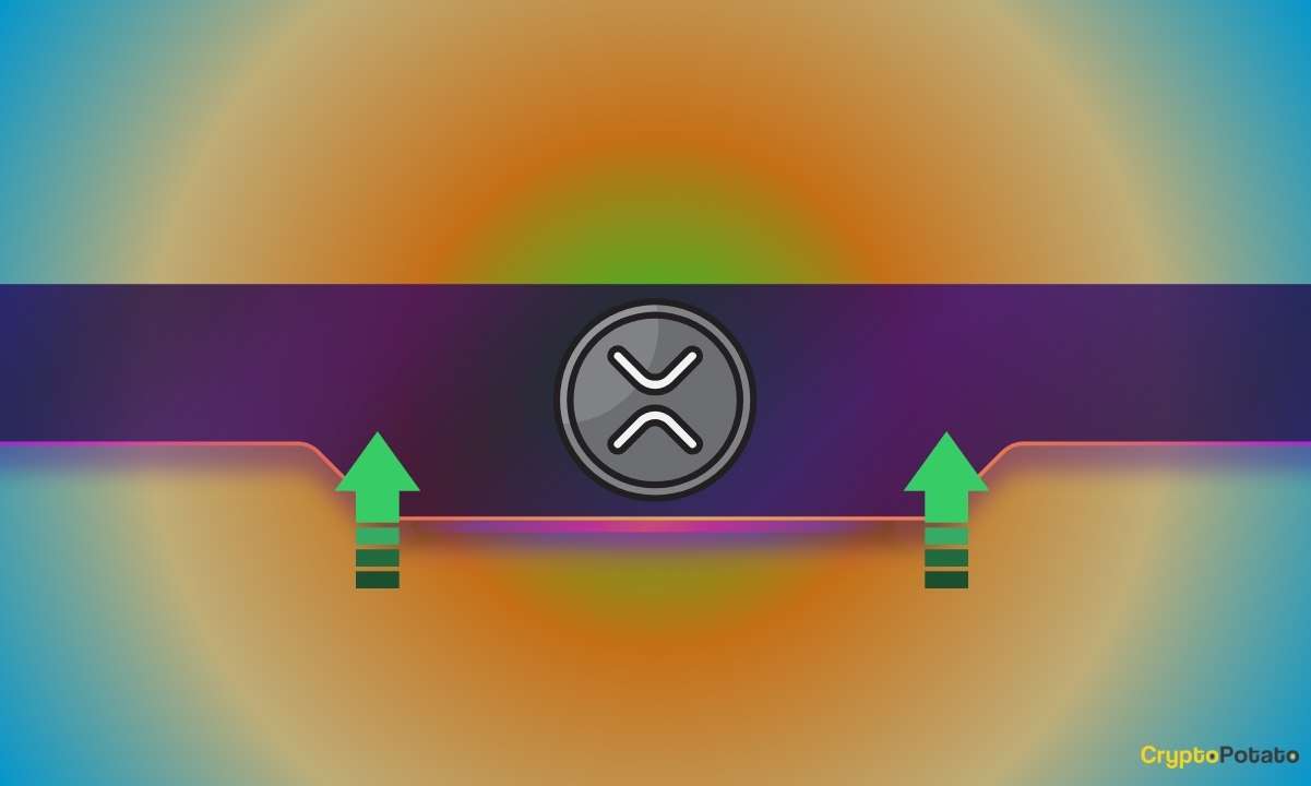 Ripple Fiyatına Göre Büyük mü? Bu XRP Metriği 3 Ayın En Yüksek Seviyesine Ulaştı