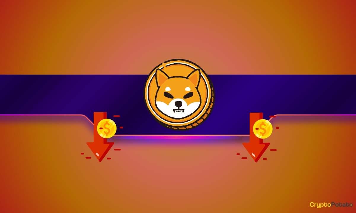 Shiba Inu (SHIB) için sorun mu var? Büyük Borsa Saldırısı Milyonlarca Kayba Yol Açtı