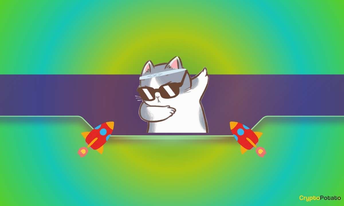Bu Meme Coin'ler Çift Haneli Patlıyor: Kediler Yeni Trend mi?