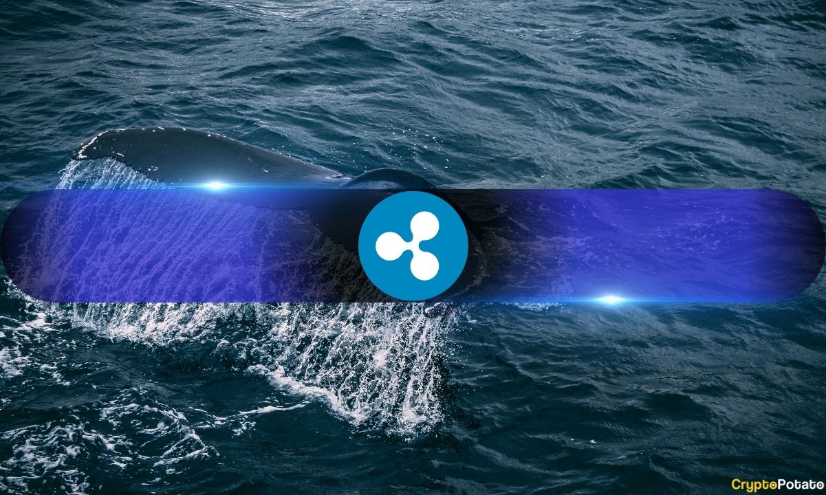 Ripple Fiyatı 4 Ayın En Yüksek Seviyesine Ulaşırken XRP'ye Güçlü Biriktirme Talebi