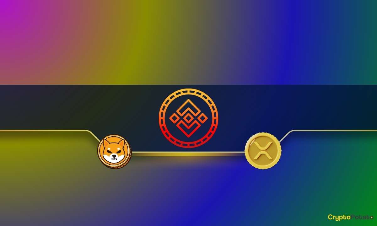 Binance'in Şu Anda Ne Kadar Ripple (XRP) ve Shiba Inu (SHIB) Tuttuğu: