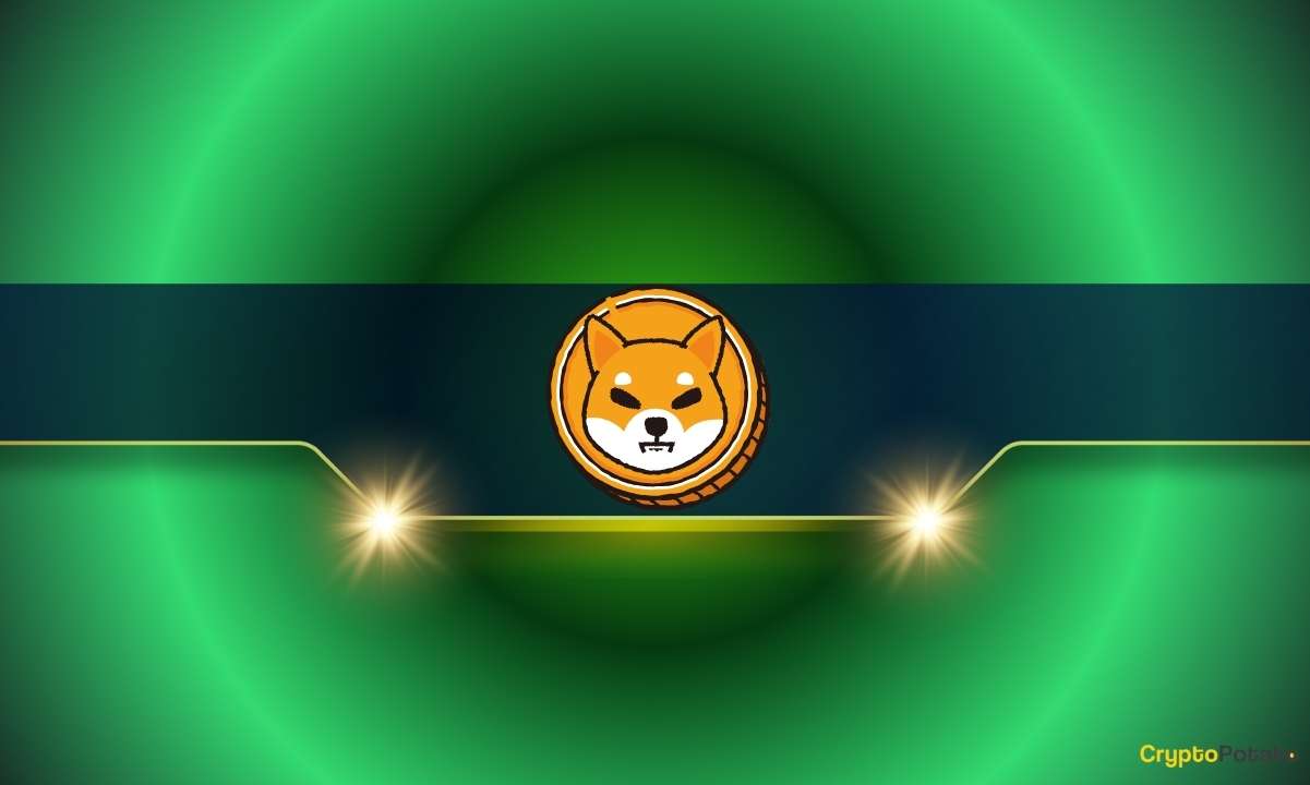 Shiba Inu'nun Fiyatı Muhtemelen 100 Kat Artmayacak: Ama Bu Kripto Varlık Olabilir