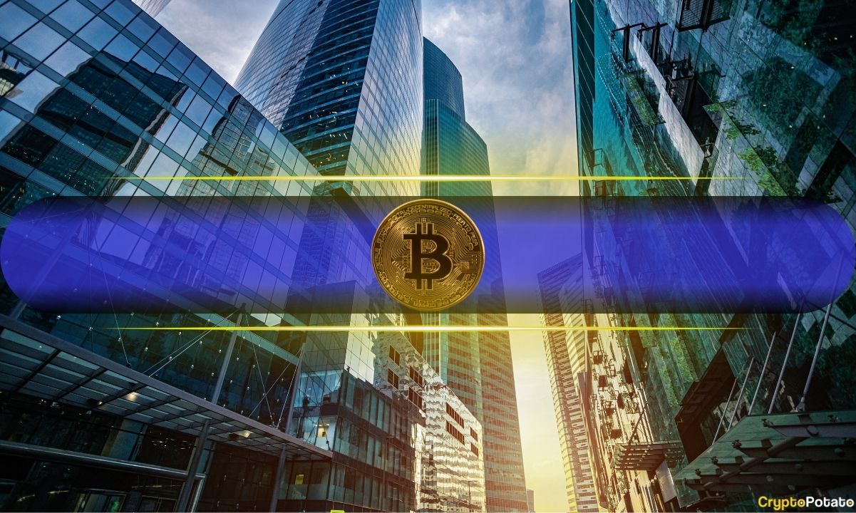 Kurumsal Yatırımcıların Çoğunluğu İkinci Çeyrekte Bitcoin ETF Pozisyonlarını Tuttu veya Artırdı