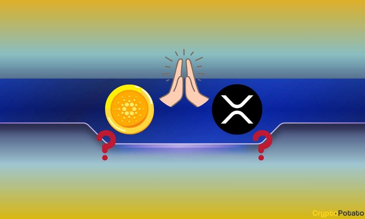 Ripple-Cardano İşbirliği Bu Gelişmeden Sonra Daha da Olası Görünüyor: Ayrıntılar
