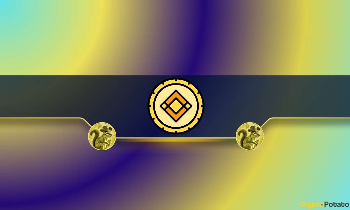 Fıstık Sincap (PNUT) Yatırımcıları için Önemli Binance Güncellemesi: Ayrıntılar