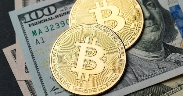 Pantera Bitcoin Fonu, Piyasadaki Dalgalanmanın Ortasında 1.000 Kat Aşamaya Ulaştı