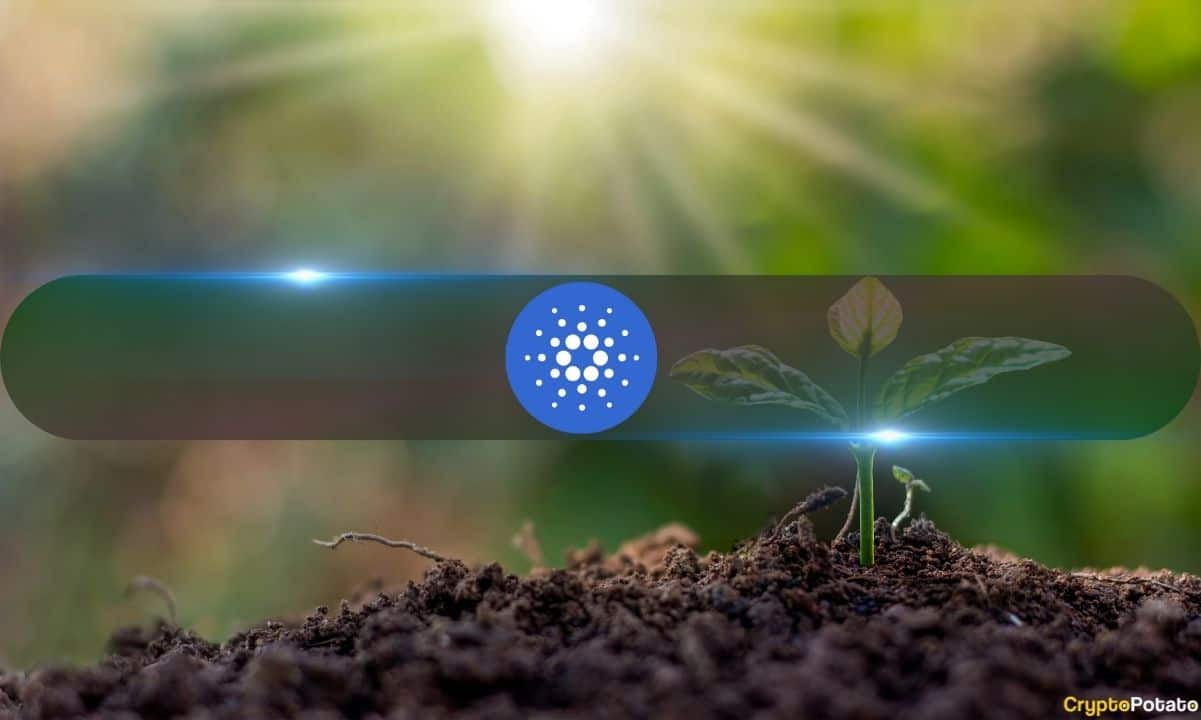 Cardano (ADA) 1 Doların Altına Düşüyor Ancak Ağ Büyümesi Yakında Daha Büyük Bir Patlamaya İşaret Ediyor (ITB)