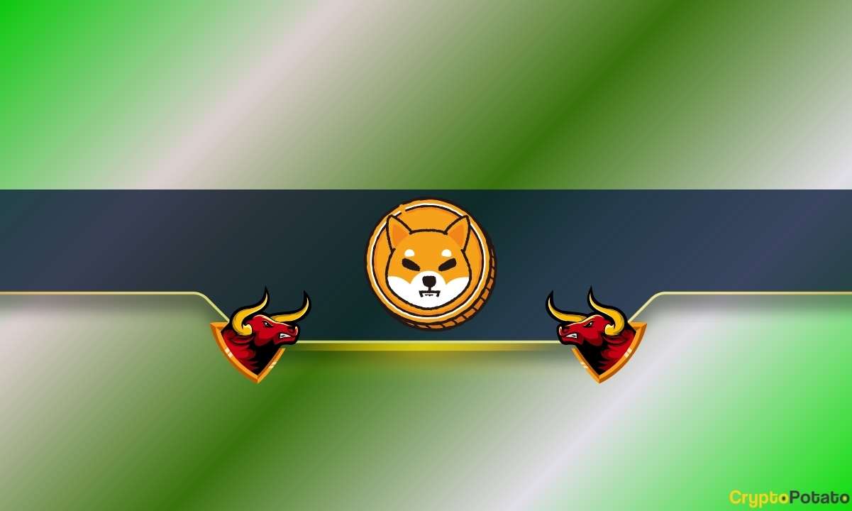 Analistler: Shiba Inu'nun (SHIB) Günlük %10 Düzeltmesi Neden İyi Haber Olabilir?