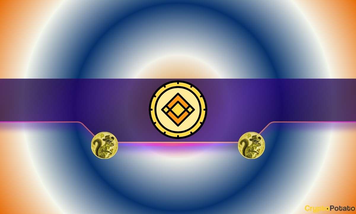 Peanut the Squirrel (PNUT) ve Diğer Meme Coin'lere İlişkin Önemli Binance Ticaret Güncellemesi: Ayrıntılar