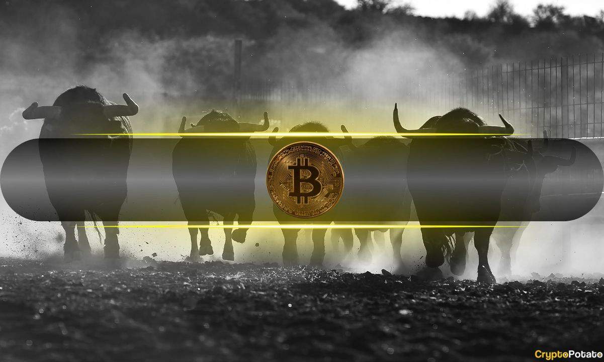 Bitcoin'in (BTC) Boğa Piyasası Geçici Yavaşlamanın Ortasında Sağlam Kalıyor: CQ