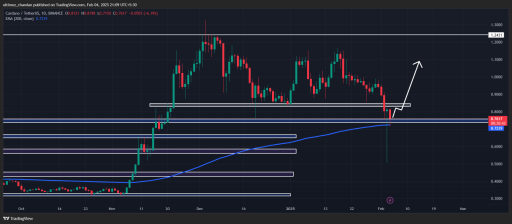 Balinalar 330 milyon Cardano'yu (ADA) döküyor, sırada ne var? 