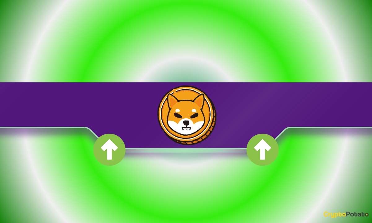 Masif Shiba Inu (Shib) duyurusu