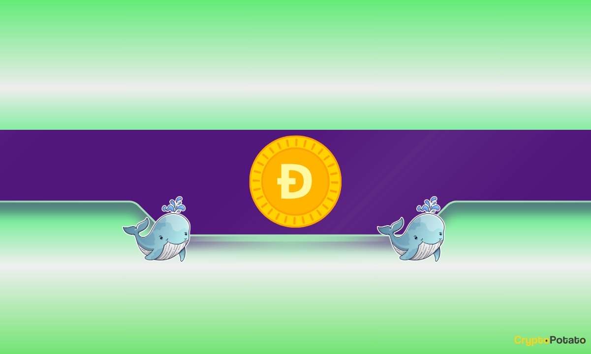 Dogecoin balinaları büyük bir hamle yapıyor: Doge’in fiyatı bir miting için hazır mı?