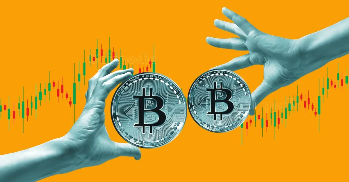 Kripto Pazarı 2025: Uzman Bitcoin için daha küçük olumsuzluk tahmin ediyor, ancak Altcoins% 95 düşebilir