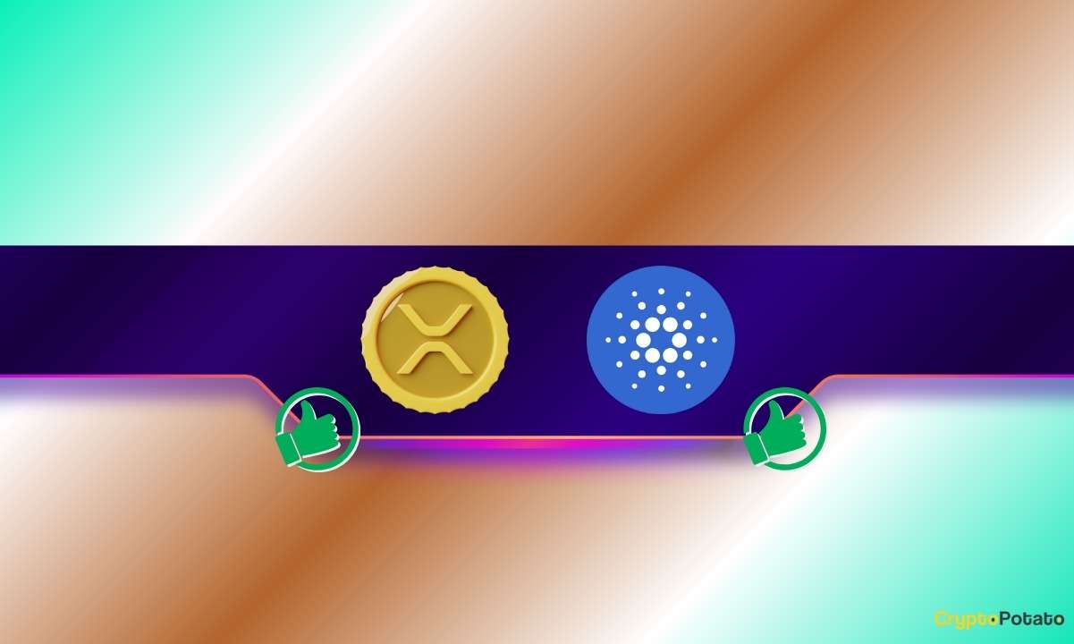 Binance tüccarları dev XRP ve ADA bahislerinde: Endişelenmeli misiniz?