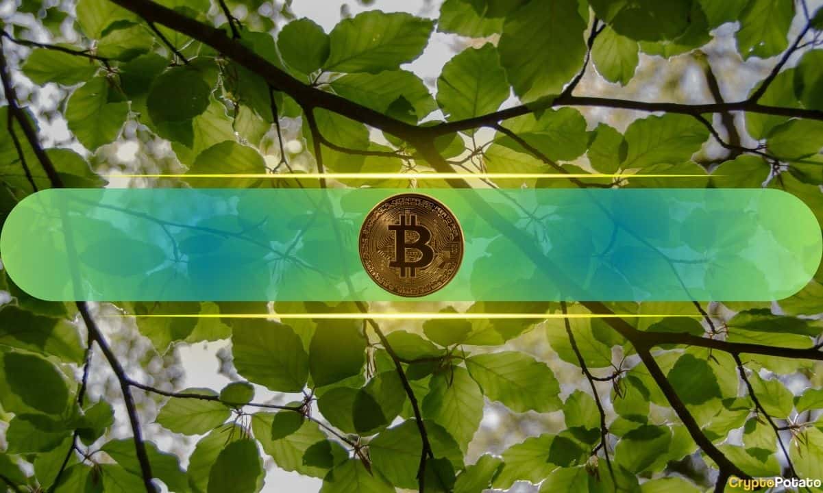 BTC fiyatı 96 bin doların üzerine çıktığında Bitcoin tanıdık bir birikim yapısı oluşturur