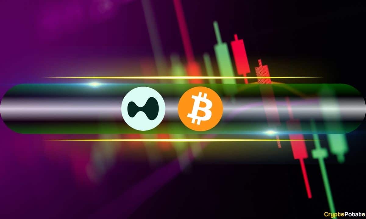 BTC Price 95 bin $'a Yükselerek Hype ile 20 $'a Dönüyor