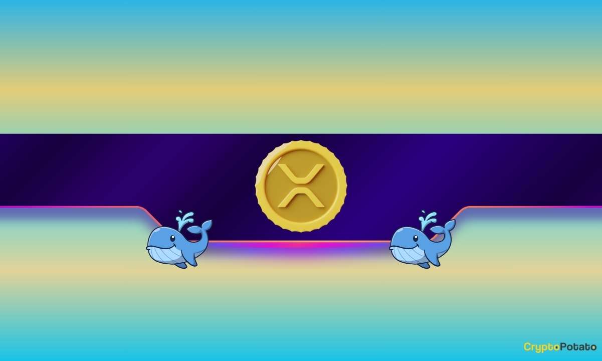Kritik XRP Metriği Rekor Kırıyor: Ripple Fiyatı Nasıl Etkilenir?