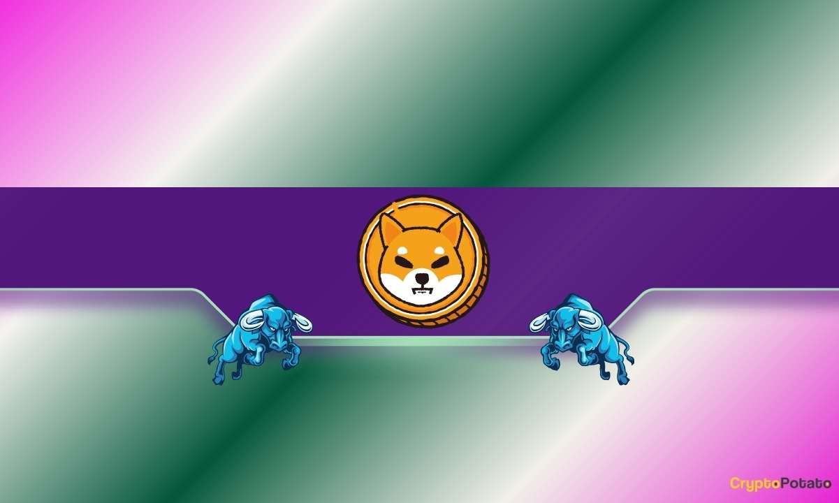 Shiba Inu'nun (Shib) muhteşem rallisine 3 neden!