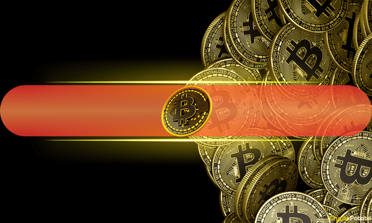 Bitcoin Boğa Piyasasında: Kar Arzusu, Piyasa Desteğiyle %88 Yükseldi!
