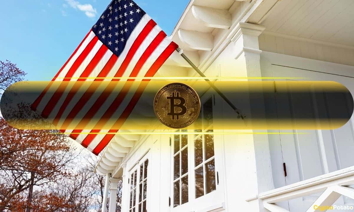 Analist: Bitcoin'in 100.000 dolarlık çöküşü balinalarla çakışabilir!