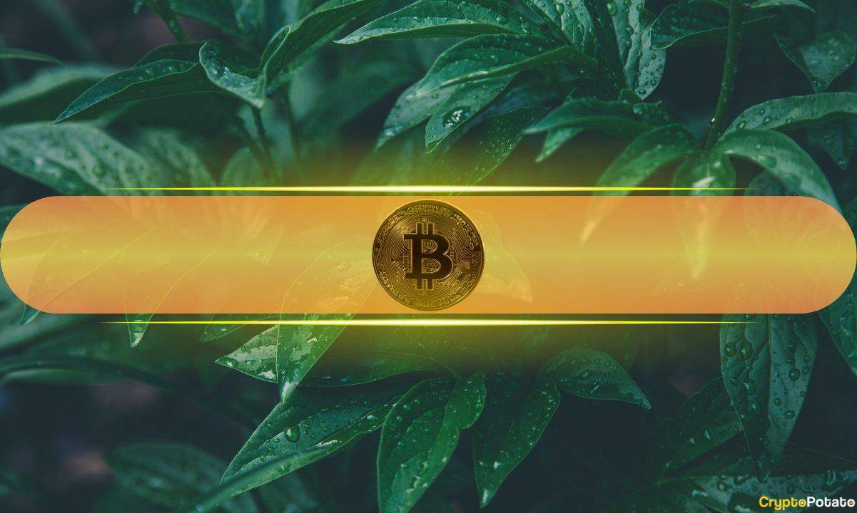 Bitcoin Fiyatı: ABD-Çin Ticaret Görüşmeleri 100.000 $ Seviyesine Hazır