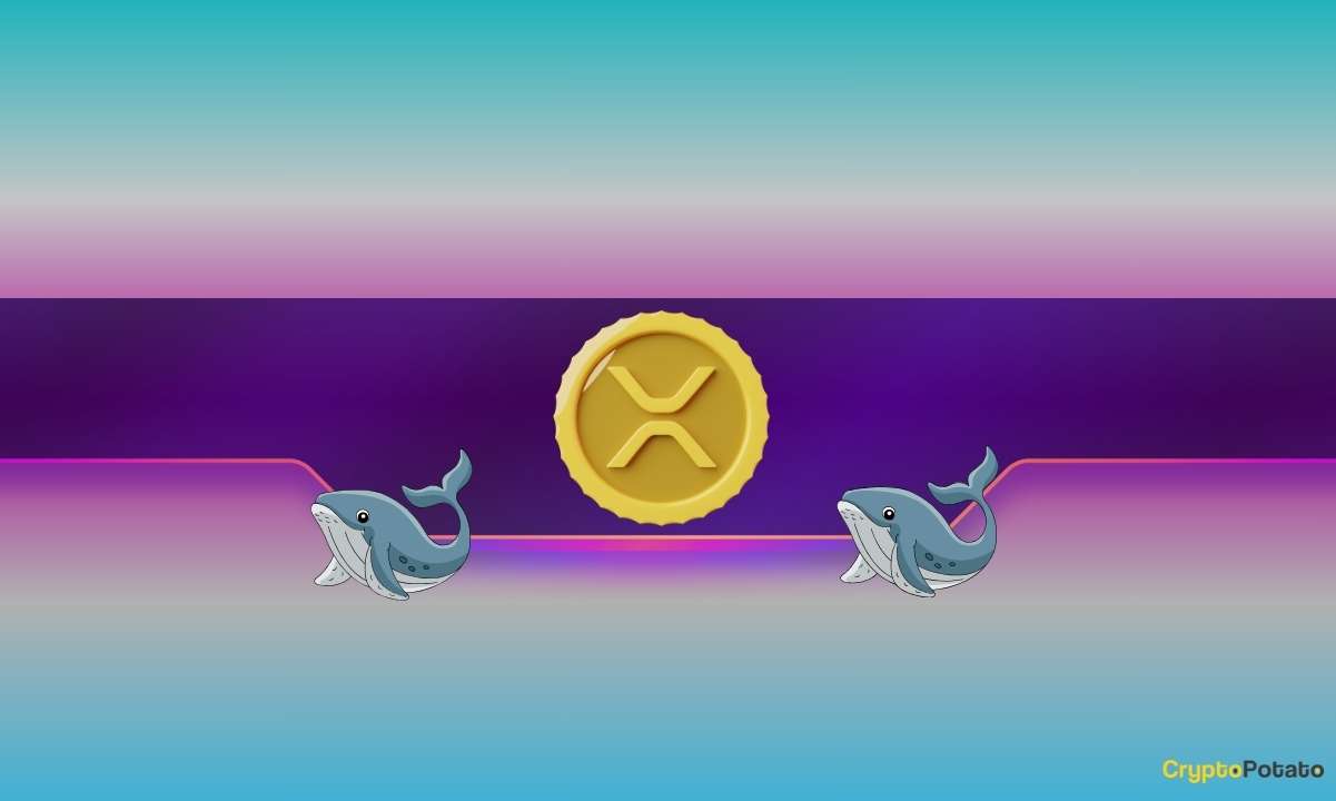 Ripple (XRP) Balina Hareketiyle Fiyatlar Rekor Kırıyor, Yükseliş Devam Ediyor!