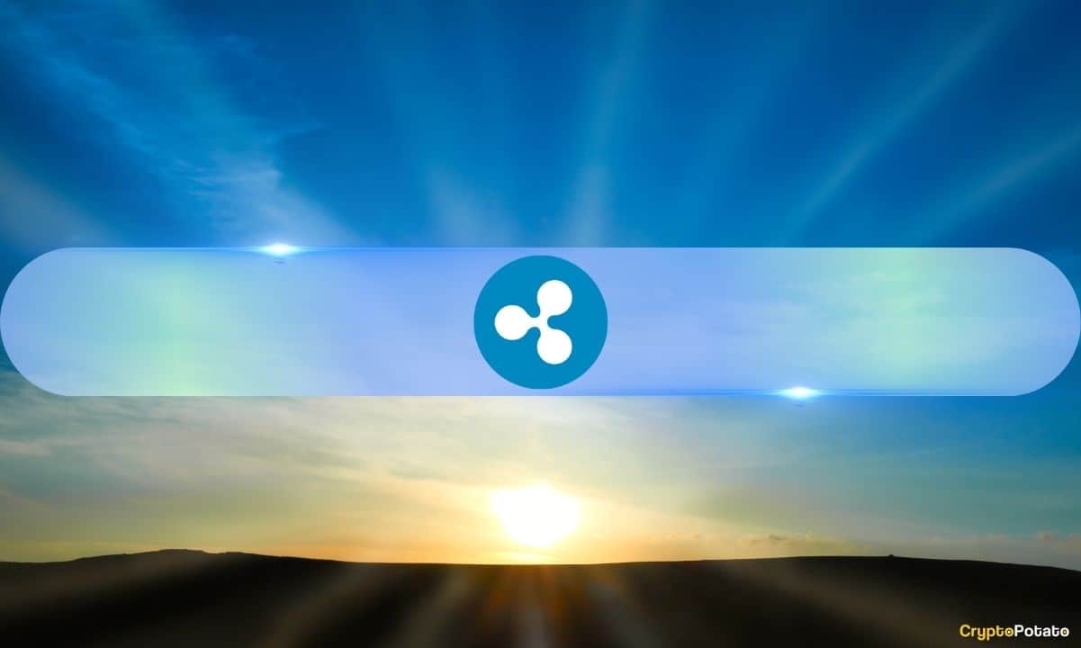 2025'te Ripple (XRP) Bitcoin'i Geride Bırakabilir mi? İşte 3 Anahtar Faktör