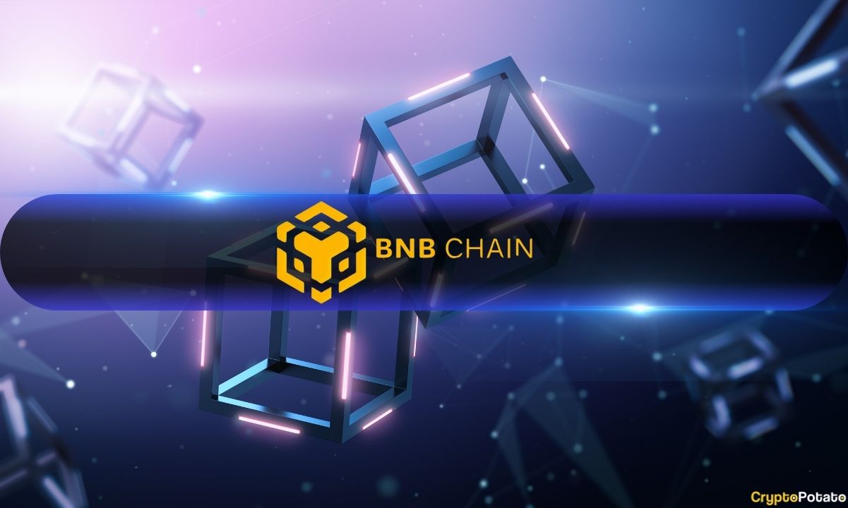 BNB Zinciri Dex Volume Ethereum'u Geçti, Solana'yı Geride Bıraktı