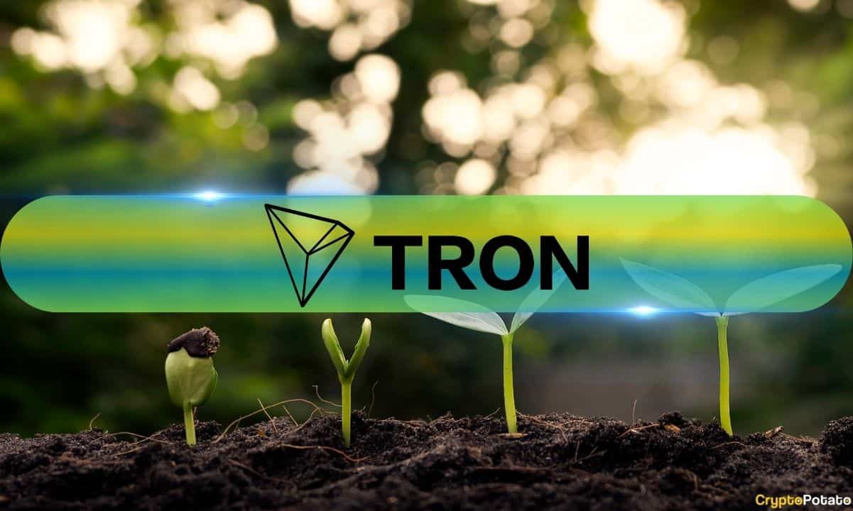 TRON Binbaşı 2025 Milestone'ı Tüm TRX Tutucularını Karlı Yapabilir