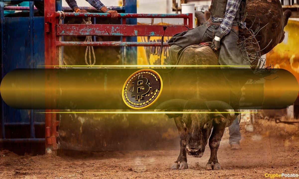 Bitcoin, Hedefleri Doğrultusunda Mitingle Genişlemeye Hazır (Bitcoin, Miting İçin Uygun)