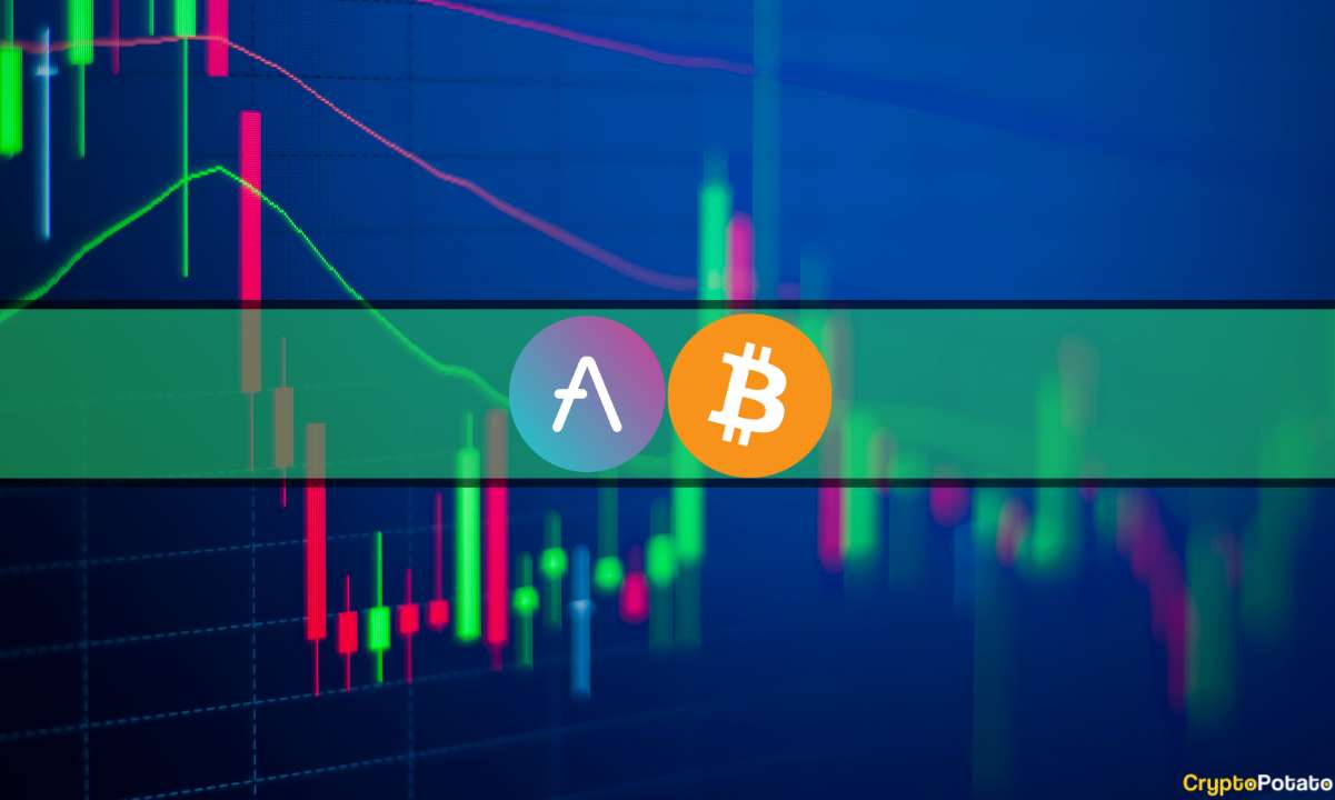 Bitcoin, 102 bin dolara yükselirken AAVE Skyrockets'e geri dönüş yapıyor