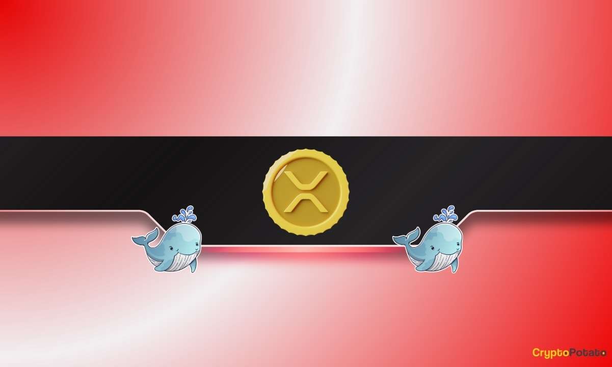 Ripple Balinaları XRP Fiyatını %5 Düşürdü - Jeton Boşaltmaları etkili oldu