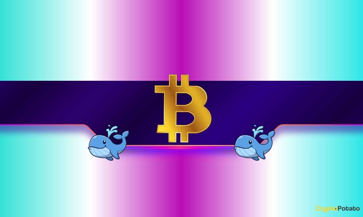 20.000 BTC Balinalar tarafından sadece 2 gün içinde satın alındı: Bitcoin’in fiyatı nasıl tepki verecek?