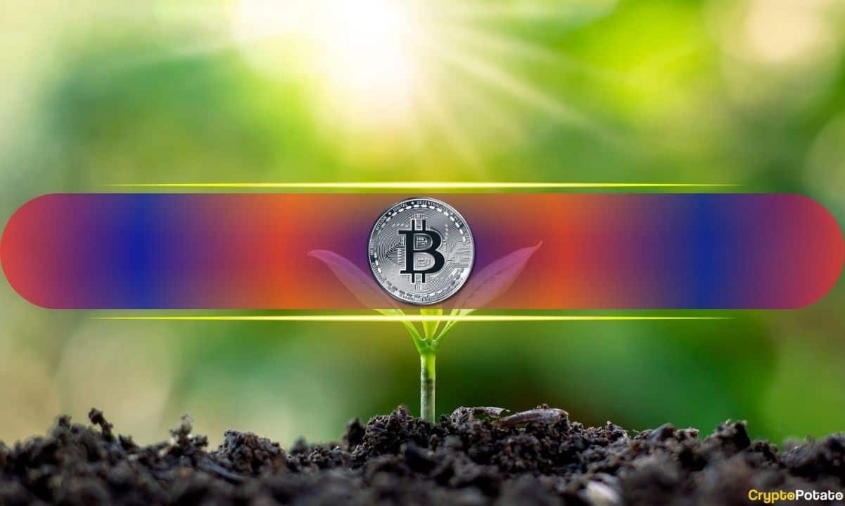 Bitcoin'in 15 Yıllık Yolculuğu: Meraktan Küresel Finansa