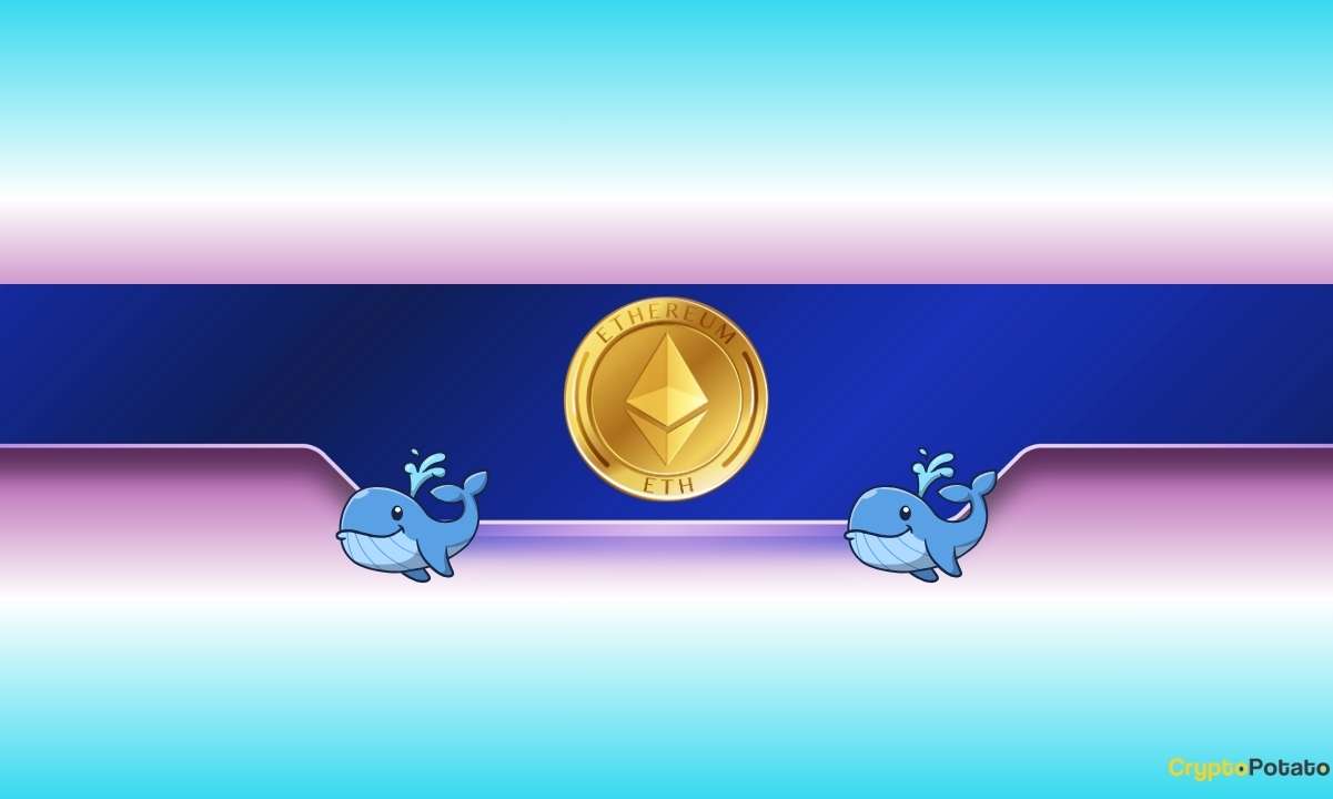Ethereum'da Balina Birikimi Rekor Seviyede: Kurumsal İlgi Artıyor