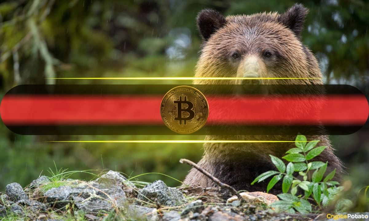 Bitcoin 90.000 Doları Aşamadı: Analistler 40.000 Dolar Uyarısı Yapıyor
