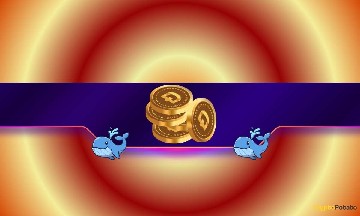 Dogecoin'de Balina Satışları ve ETF'lerin Zayıf Performansı Dikkat Çekiyor