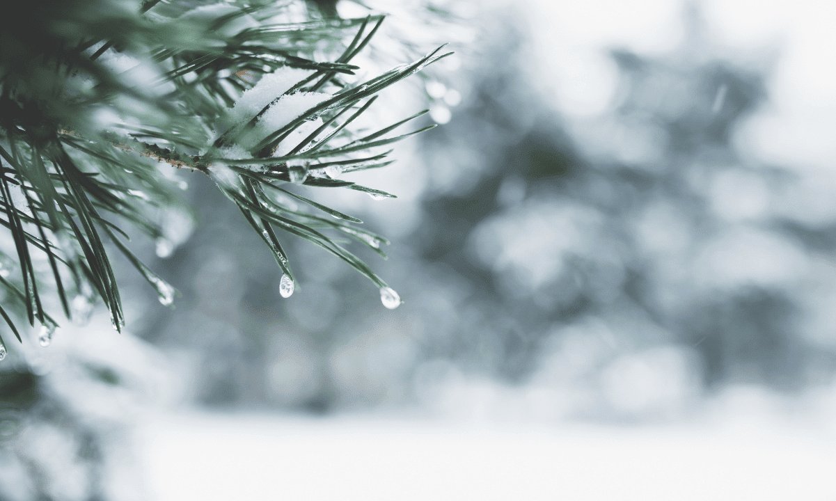 Kripto Piyasaları Sessizliğini Koruyor: Yıl Sonu Rallisi Görülmedi