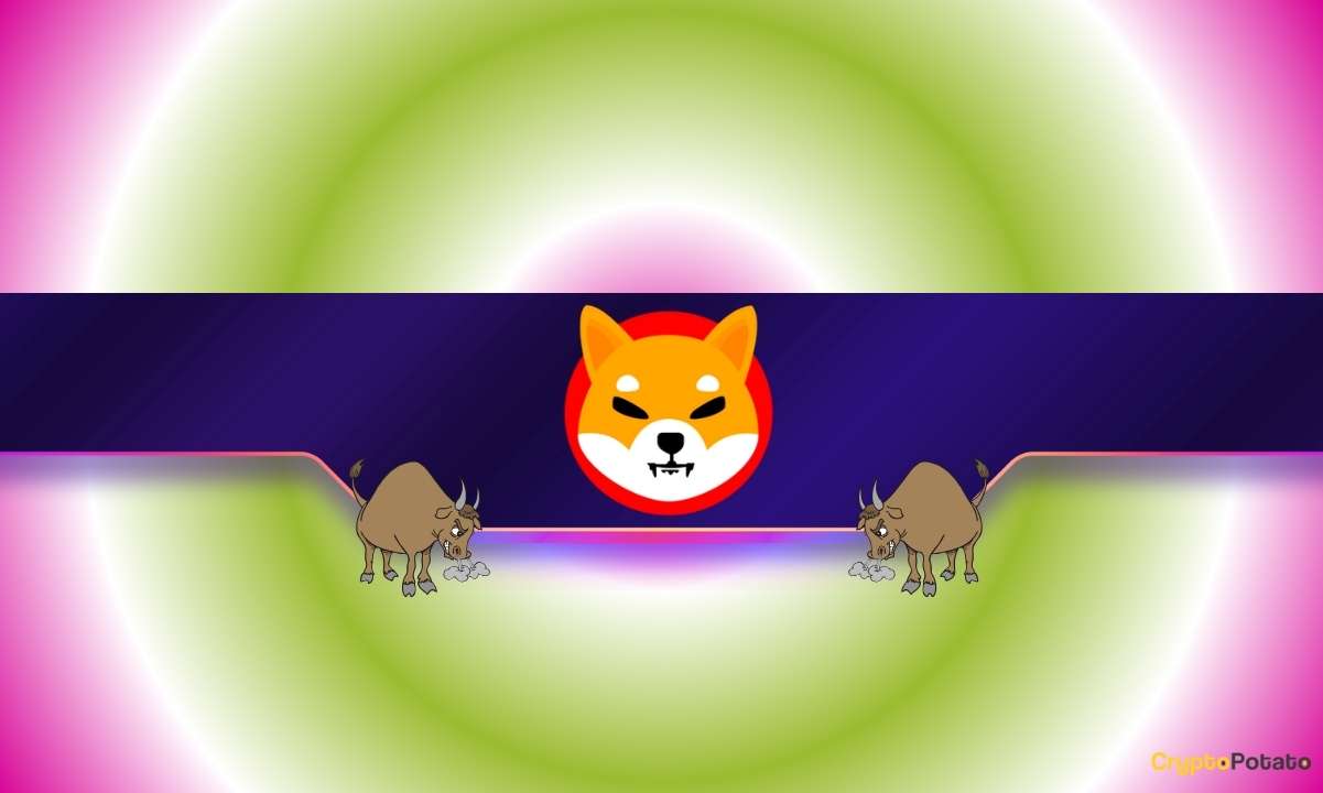 Shiba Inu Fiyatında Son Durum: Yükseliş Sürer mi?